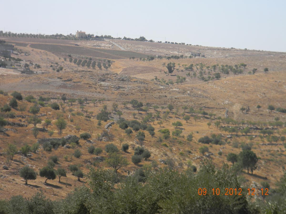 Town Of Mount Nebo Villa Madaba Bagian luar foto