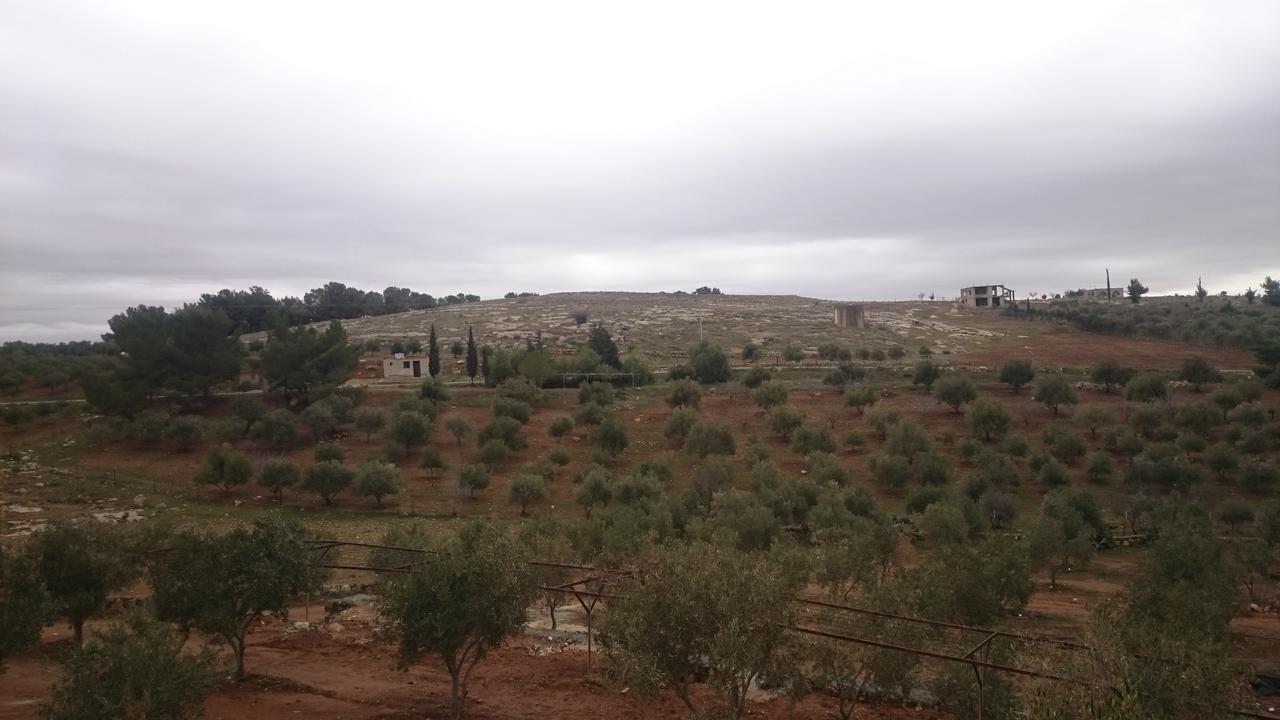 Town Of Mount Nebo Villa Madaba Bagian luar foto