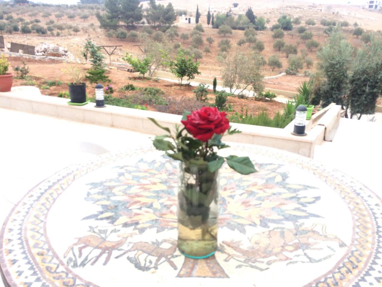 Town Of Mount Nebo Villa Madaba Bagian luar foto